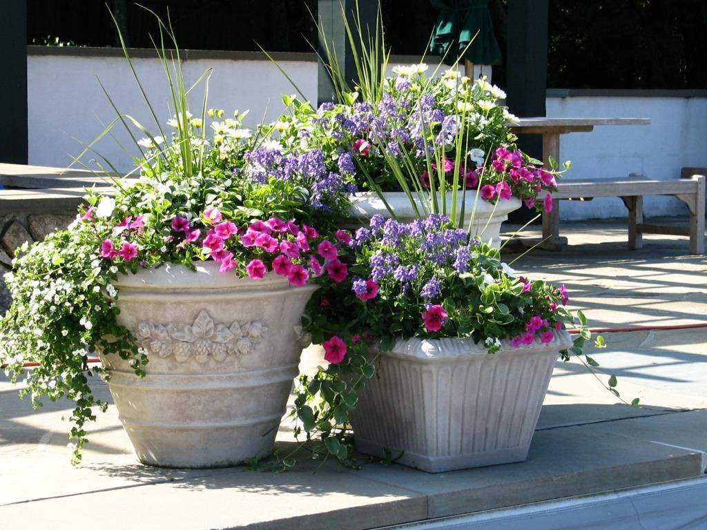 Easy Flower Pot Ideas For Garden Home Designs Lovely Flowers And intended for measurements 1024 X 768