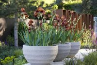 Garden Ideas Clay Flower Pots Tall Plants For Landscaping With in size 1280 X 960