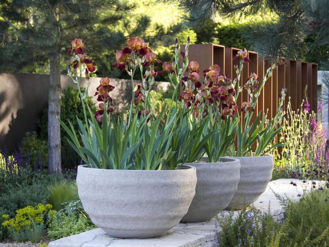 Garden Ideas Clay Flower Pots Tall Plants For Landscaping With in size 1280 X 960