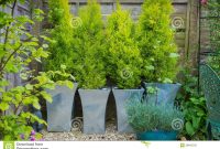 Garden With Evergreen Trees In Containers Stock Image Image Of throughout sizing 1300 X 957