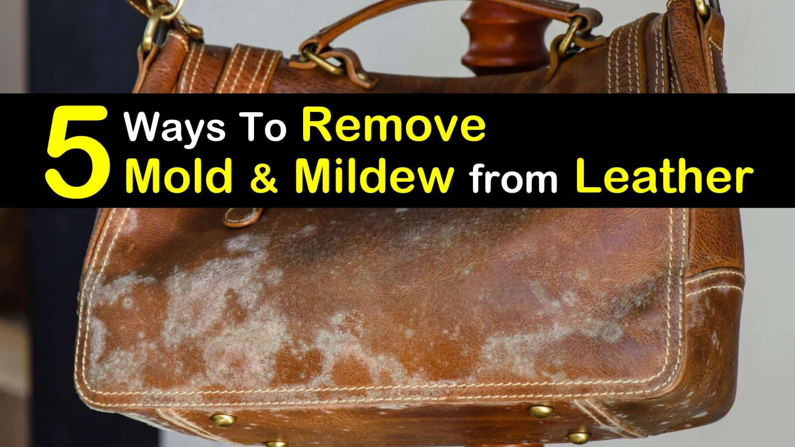 remove mold on leather sofa