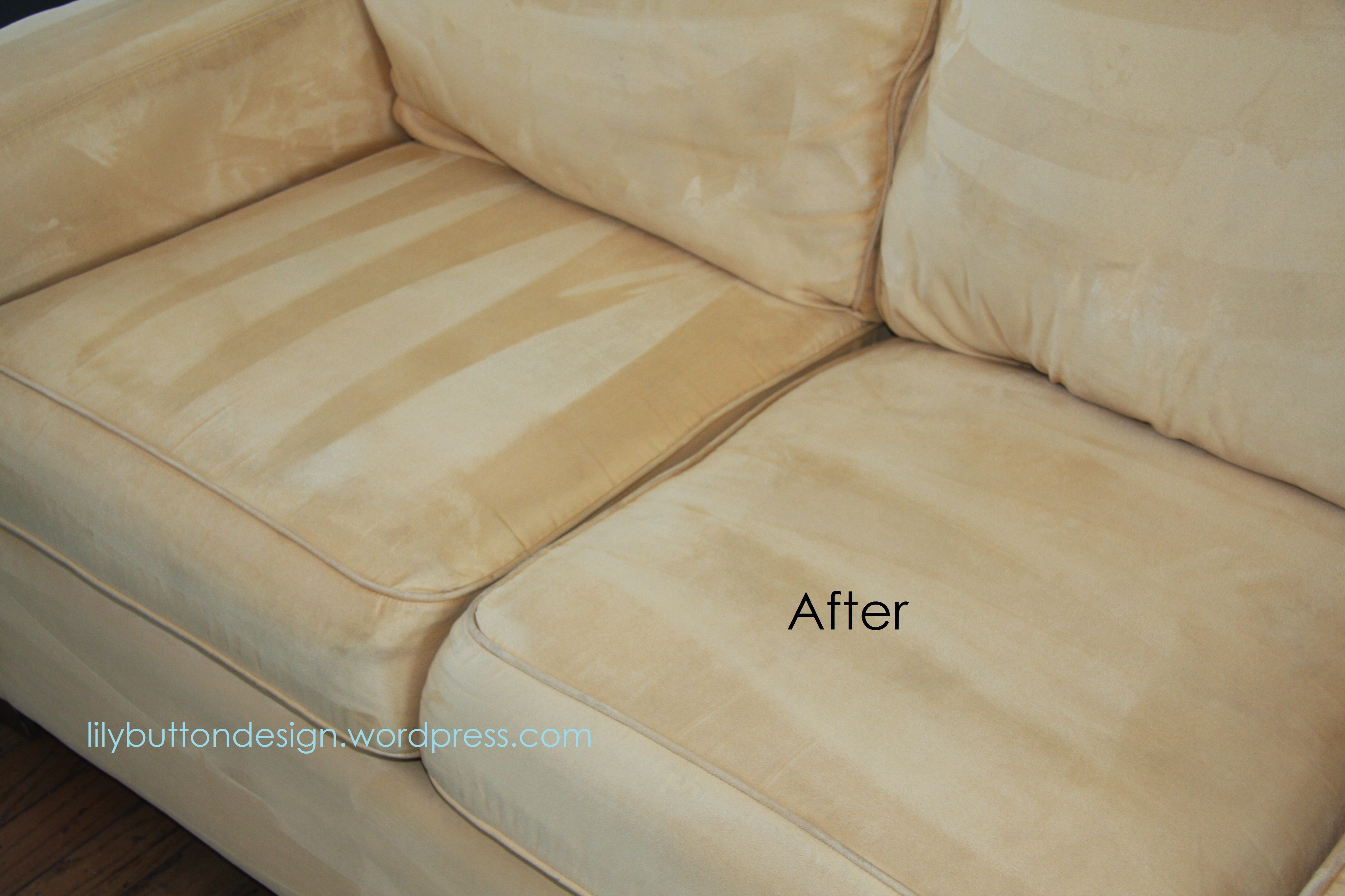 Best Way To Clean Sofa Mycoffeepot with regard to size 3888 X 2592
