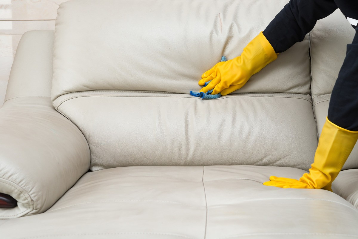 removing dried paint from leather sofa
